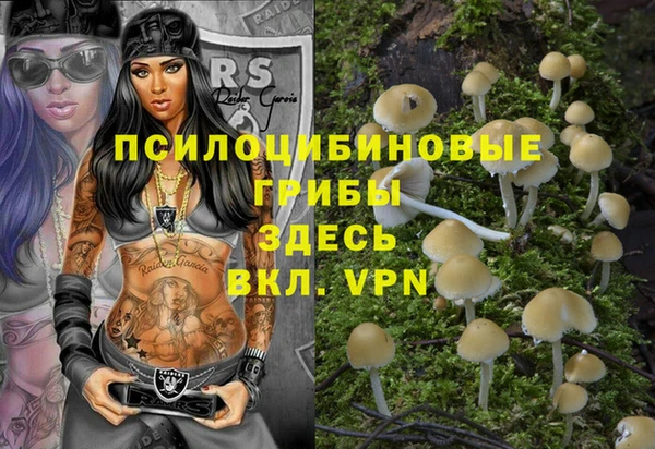 spice Алексеевка