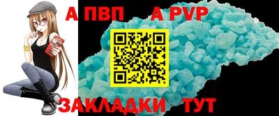 спиды Кингисепп