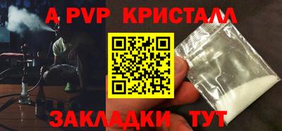 спиды Кингисепп