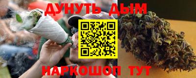 спиды Кингисепп