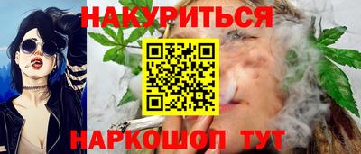 спиды Кингисепп