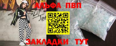 спиды Кингисепп