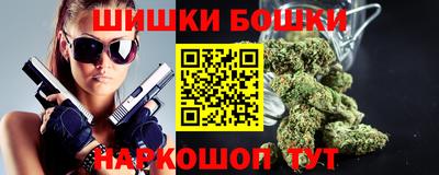 спиды Кингисепп