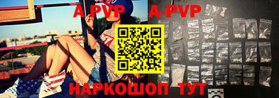 спиды Кингисепп