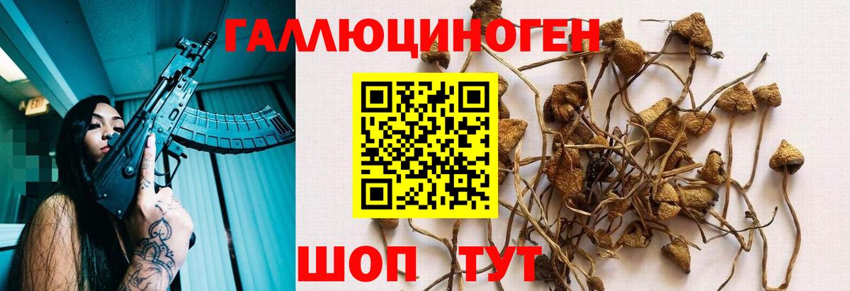 Галлюциногенные грибы мухоморы Балашов