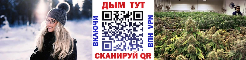наркотики  Балашов  omg ССЫЛКА  Марихуана THC 21% 